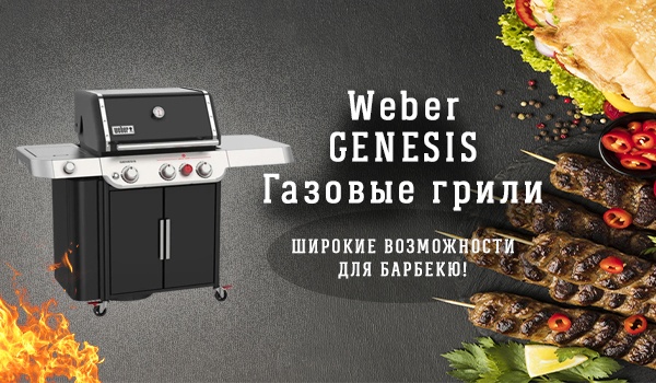 Weber GENESIS